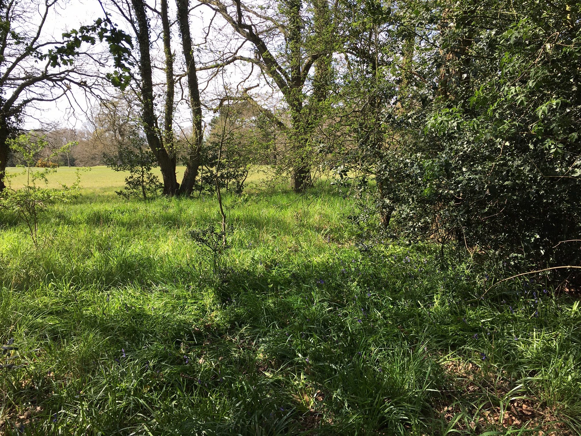 Build on brownfield, and not our greenspace Maidenhead Great Park